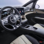 comprar-dolphin_fabb75529e-mnl6JN71DQUELPzX