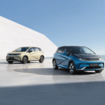 dolphin-plus-1-YNqpBe1L6ZIM7675