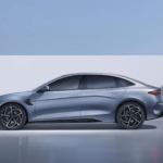 seal-3-AMqx13eyB0UeJODr