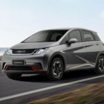 thumb_large_webp_comprar-dolphin_fbf70bb566.jpg-Yg2ayG1Rv8fZlE06